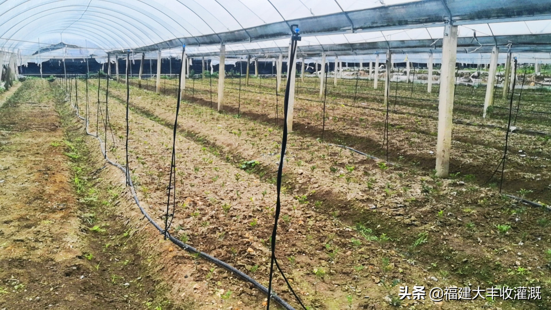 田间灌溉喷灌喷头,滴灌和喷灌微喷头