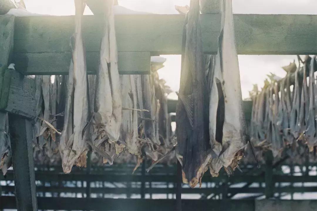 如果你想去欧洲滑雪,第一次去北欧旅行