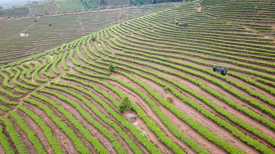 告庄西双景游玩多长时间,告庄西双景值得去吗
