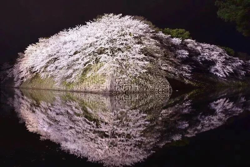 探索整个日本的手游,探索日本之旅