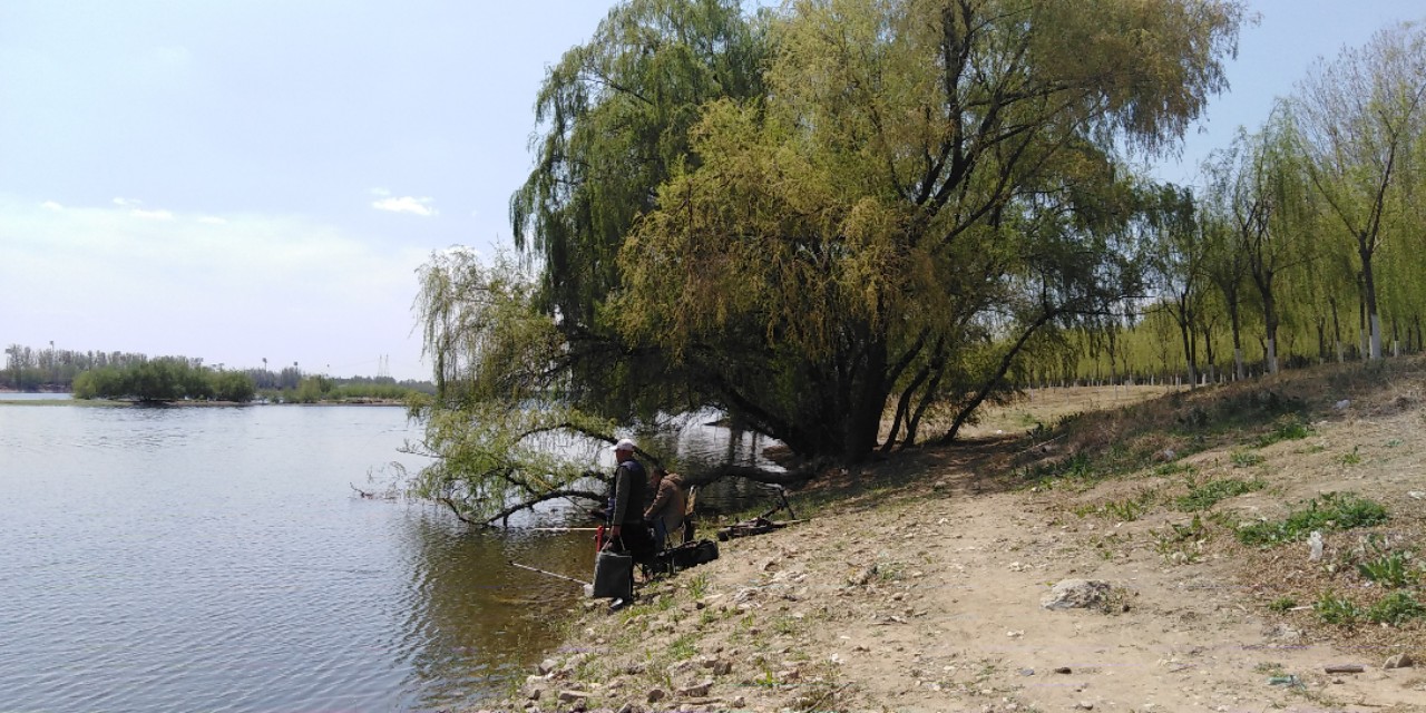沈阳长白岛森林公园一日游攻略,长白岛森林公园五一