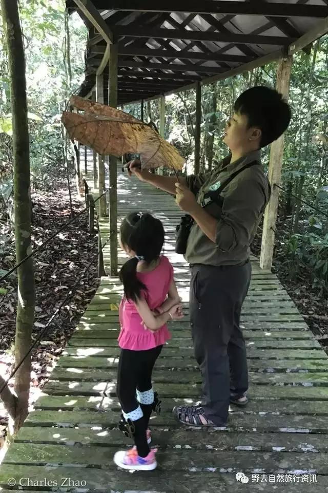 希望疫情早点结束能陪孩子多走走,待疫情彻底过去