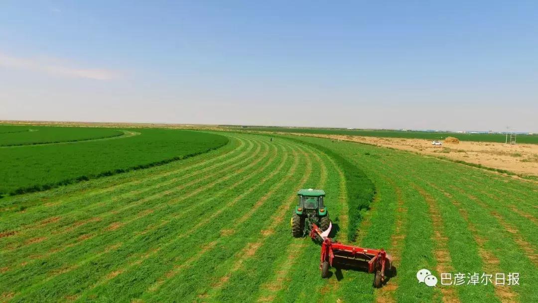 放心喝的牛奶,什么是圣牧有机奶