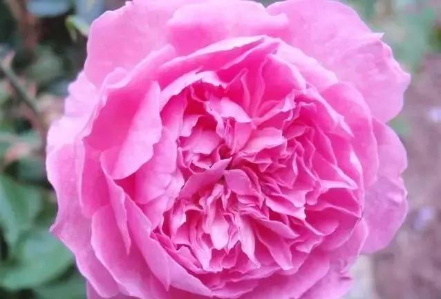 每天学习一点点女性小常识,每天学习一点点科普一下