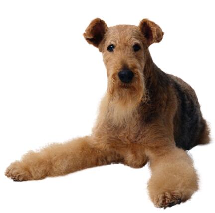 为什么会不高兴,为什么会不知不觉喜欢上一个人