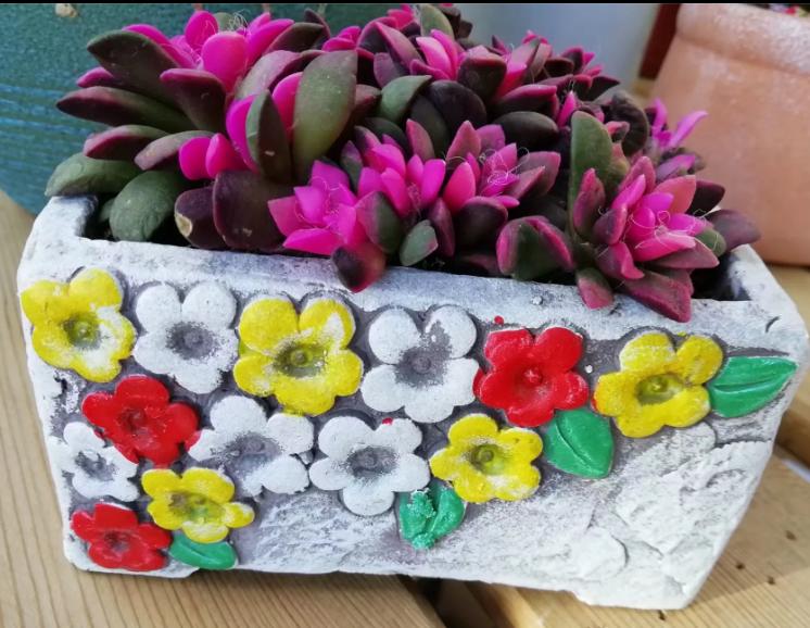 多肉养出状态来有多美？这102种多肉控养上色之后美呆了