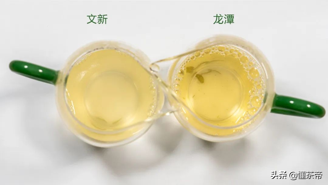 信阳毛尖绿茶测评,信阳毛尖评测