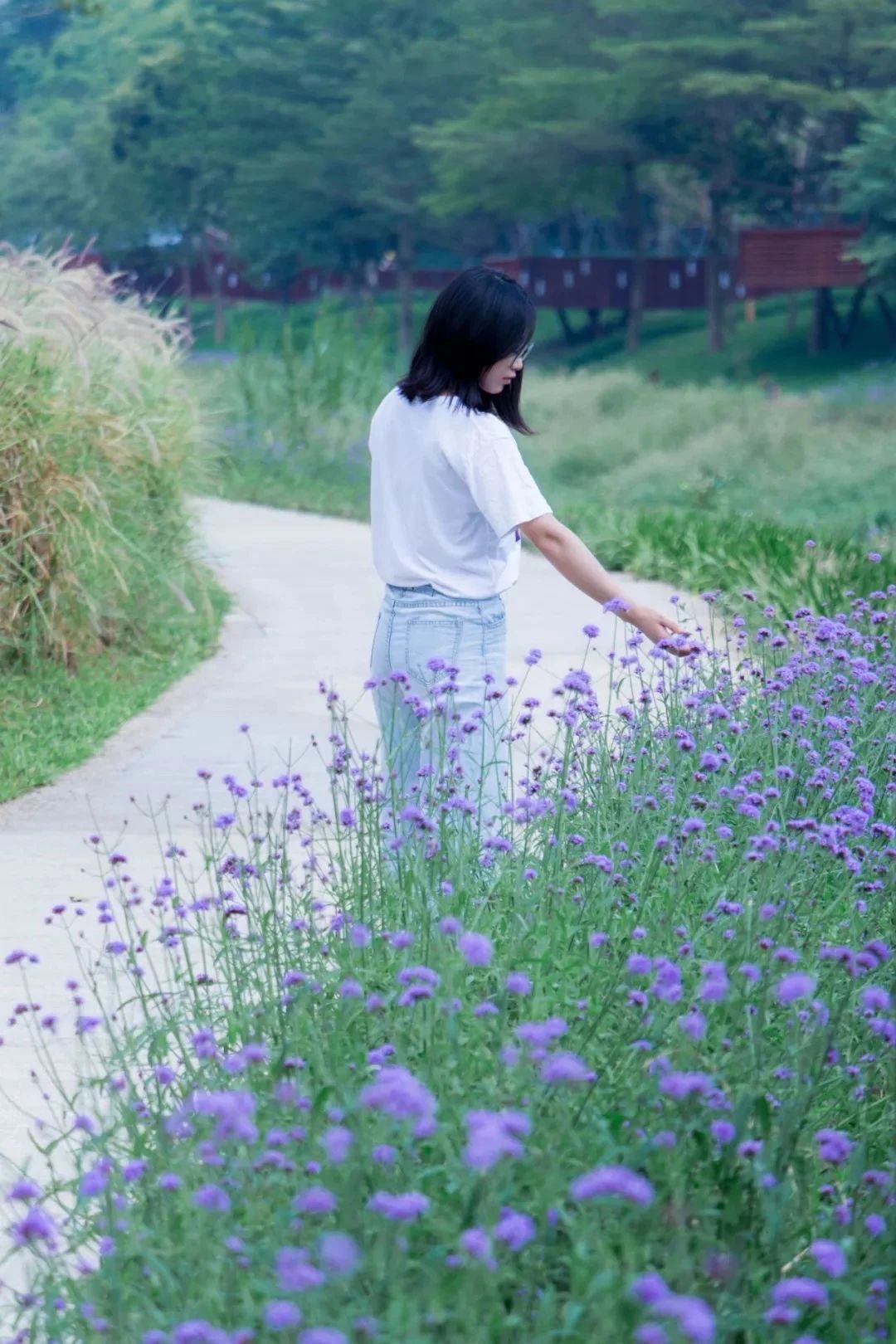 深圳3号线有哪些可以玩的,深圳7号线攻略