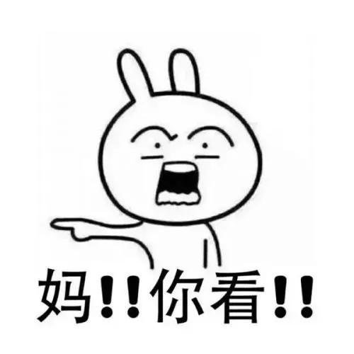 草莓饺子黑暗料理,乌冬面和彩虹饺子