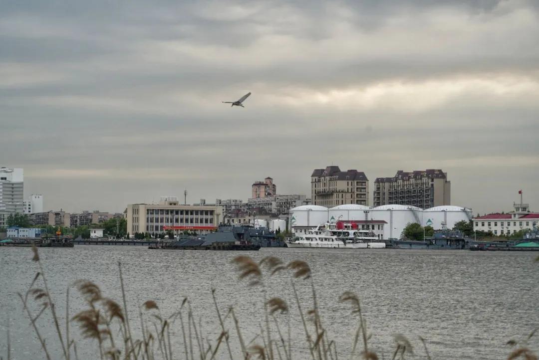 浦东滨江世博文化樱花公园,滨江道24小时不打烊