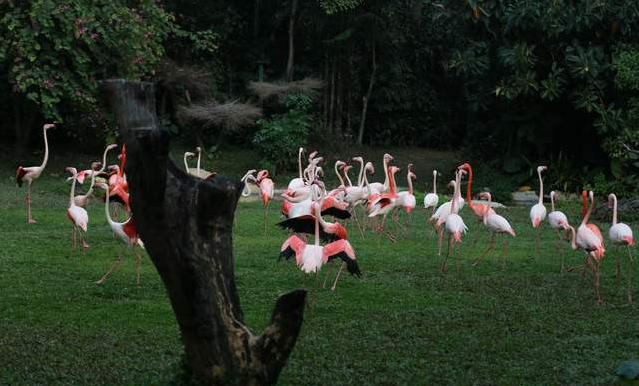 广州长隆四天三晚旅游推荐,4天去广州长隆和珠海看海怎么玩