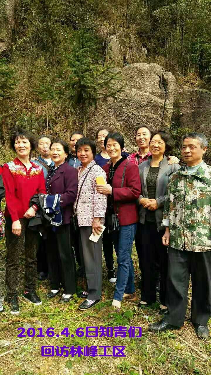 难以释怀的知青情结,60年代的知青情结