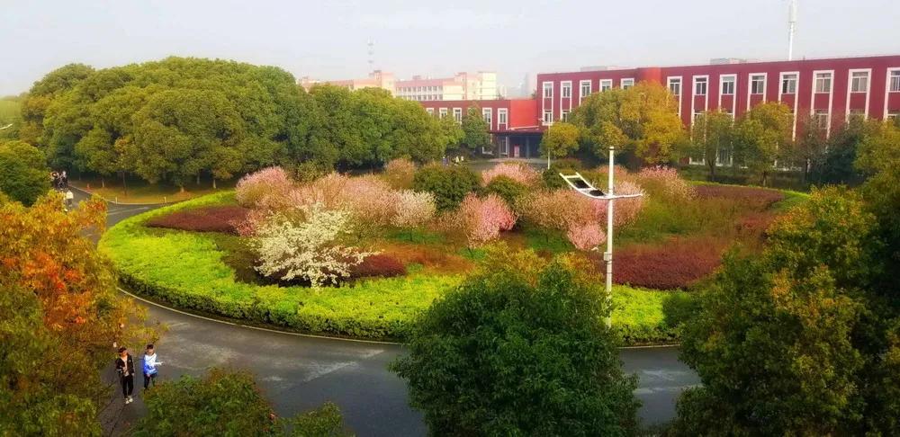 苏州托普职业技术学院招收分数线,苏州托普信息职业学院单招