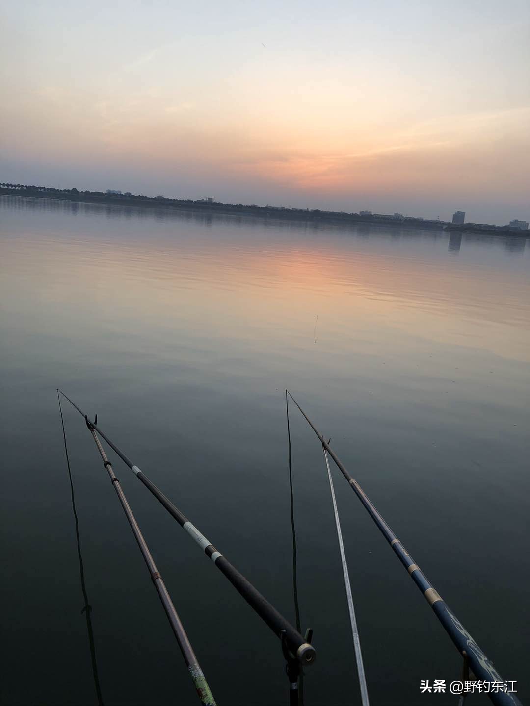 鱼竿和我的匆匆那年