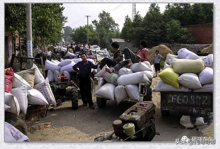 从小生活在农村的感觉,从小就在农村生活