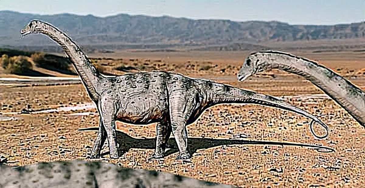 泰坦巨龙图片从哪来的,泰坦巨龙恐龙图片和简介