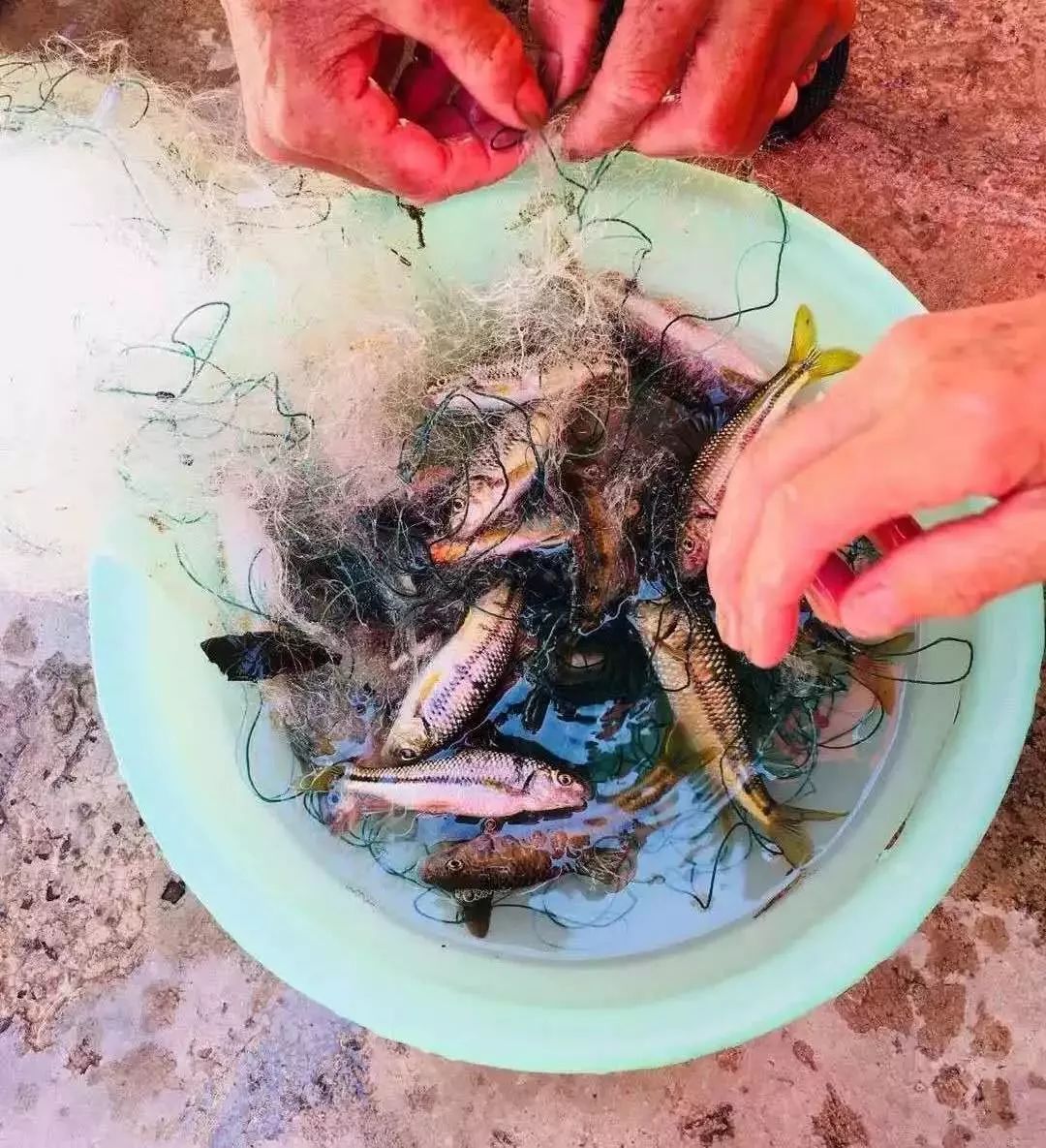 这家藏在千岛湖里的神仙民宿,千岛湖湖之野精品民宿