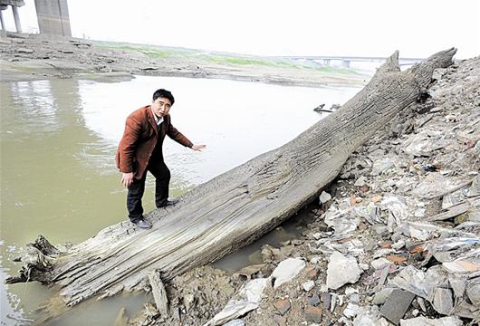 上亿乌木最后归属,江西上亿乌木最后归谁了