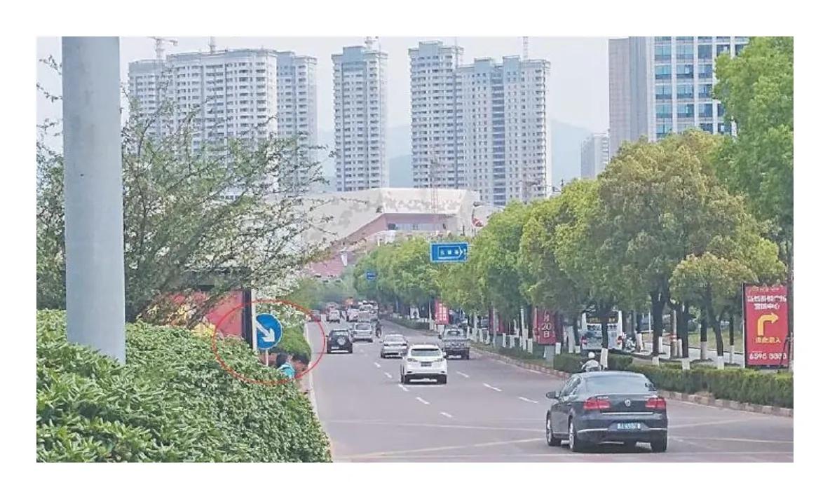 到浙江美丽乡村参观收获,考察浙江美丽乡村感想体会