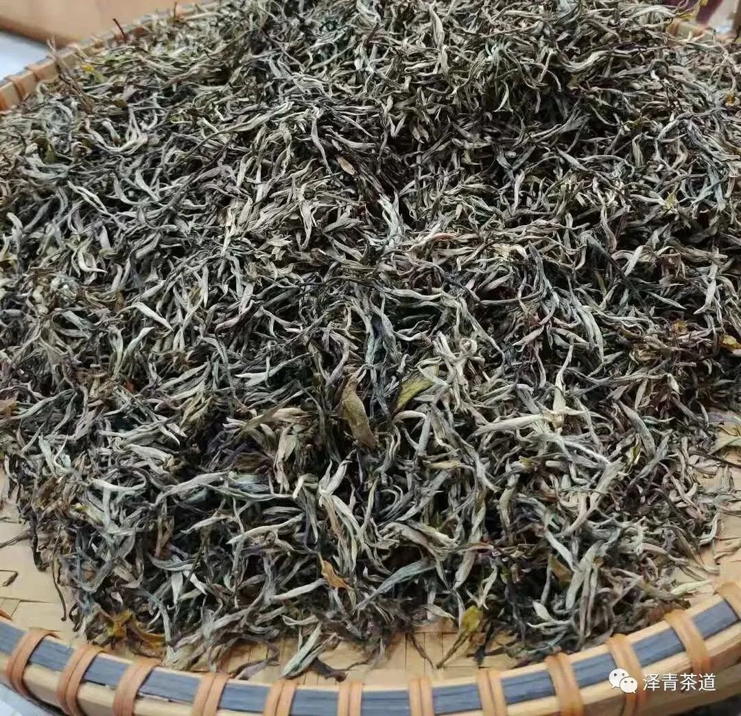 保塘古树茶好喝吗,芒景古树茶好喝吗