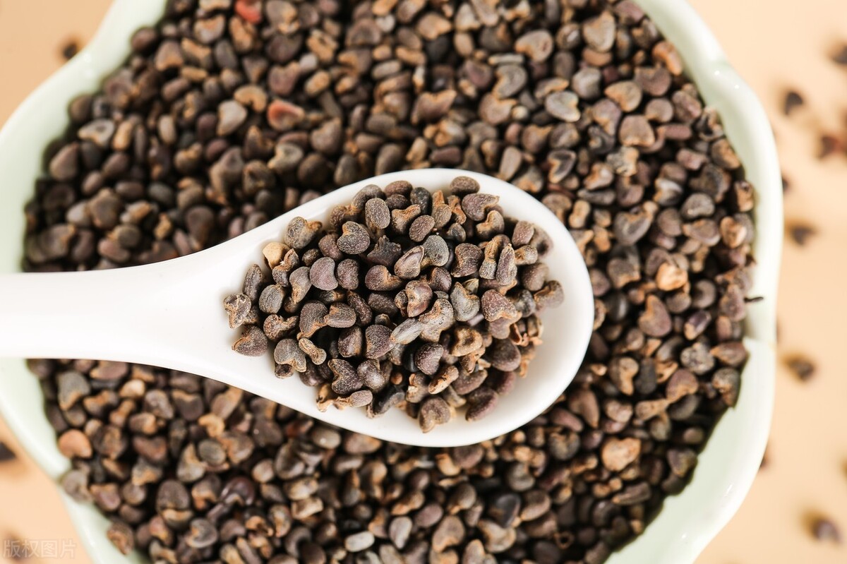 痰湿瘀血多囊会引起输卵管堵塞吗,多囊排卵汤