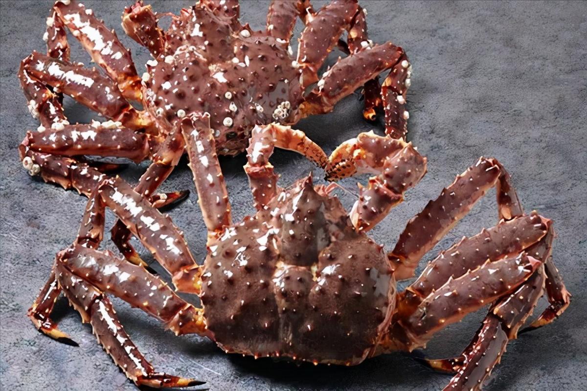 去日本必吃的五种海鲜,到日本必吃的饕餮美食