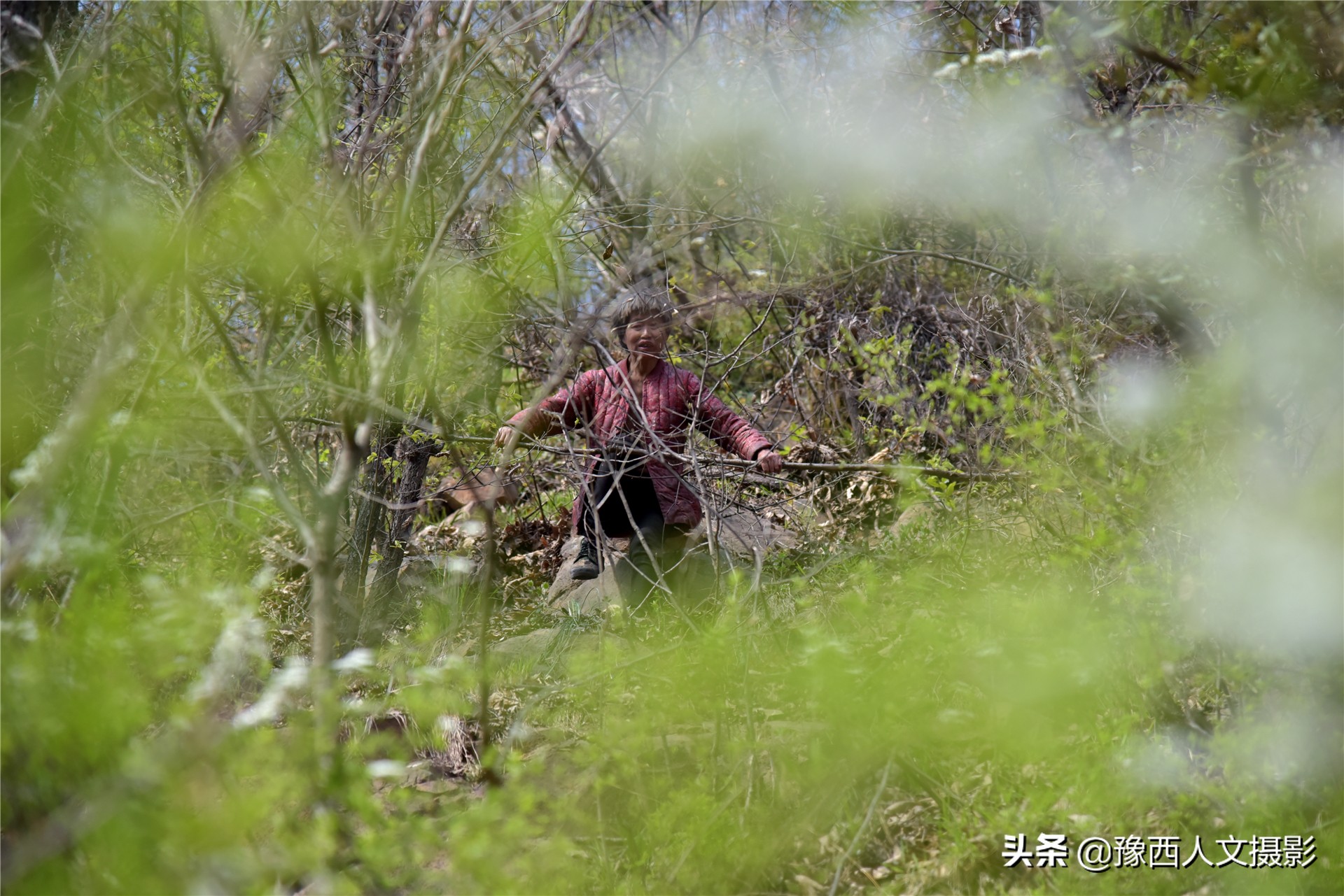 74岁大叔住深山不见人，天天跟老伴儿“捉迷藏”，买一袋盐吃半年