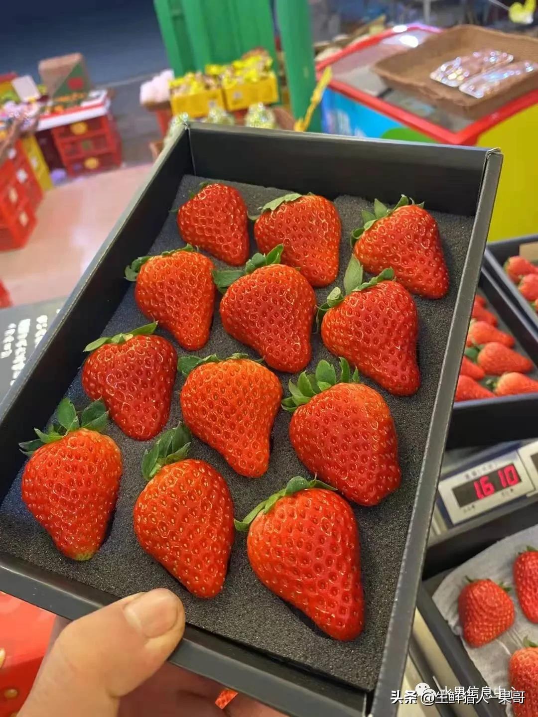 在水果中浆果是分哪几种,水果分类浆果