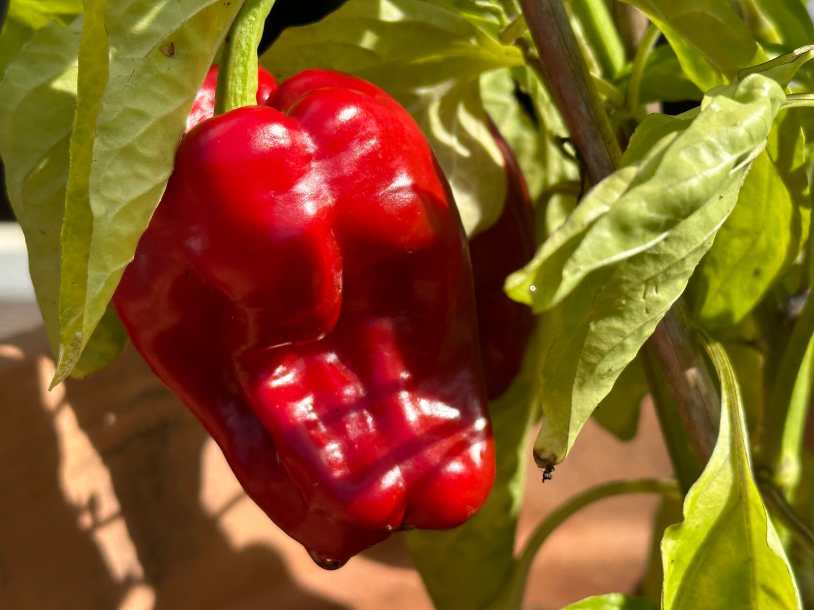 iphone14promax未来之役测试,苹果14promax分析与改进在哪里