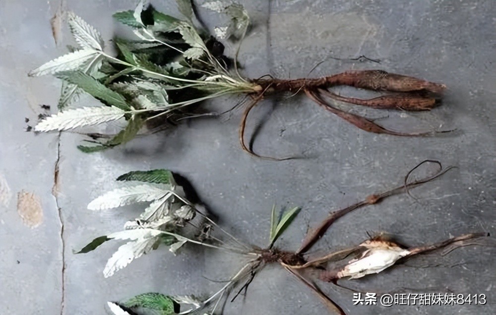 农村消失的水果,农村才能吃到的十种水果