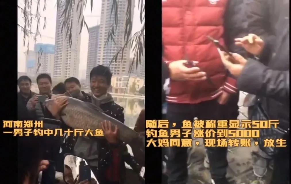 精工所有手表,精工电视手表t001