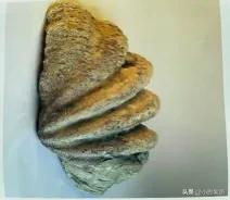 《寻味顺德》校本课程第二课