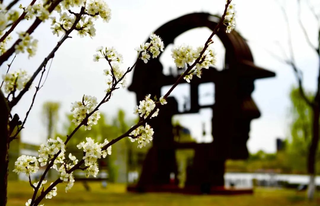 citywalk用脚步丈量城市,开启随性自由的citywalk