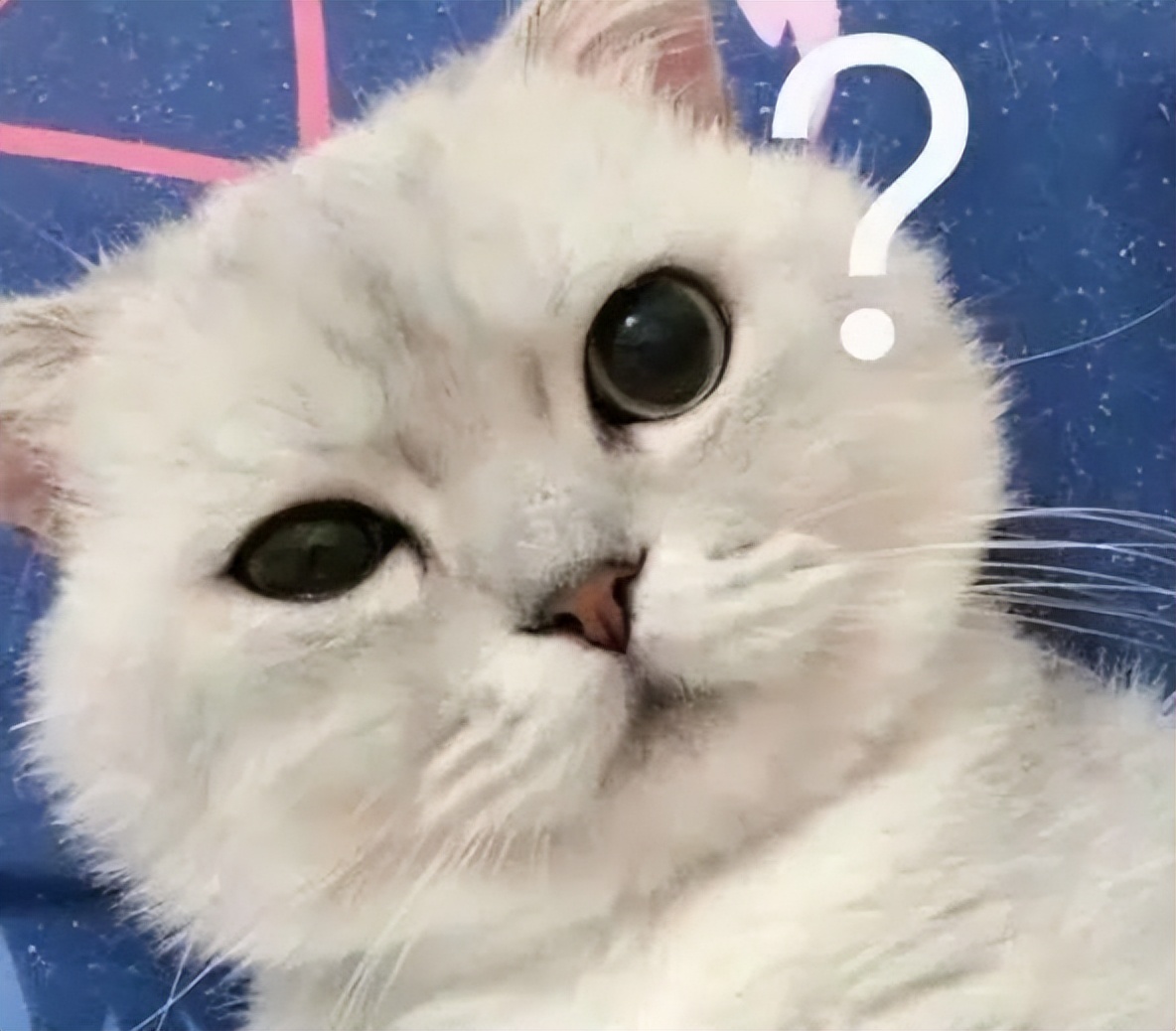 有治鼻炎的好方法吗,哪种药治鼻炎比较好