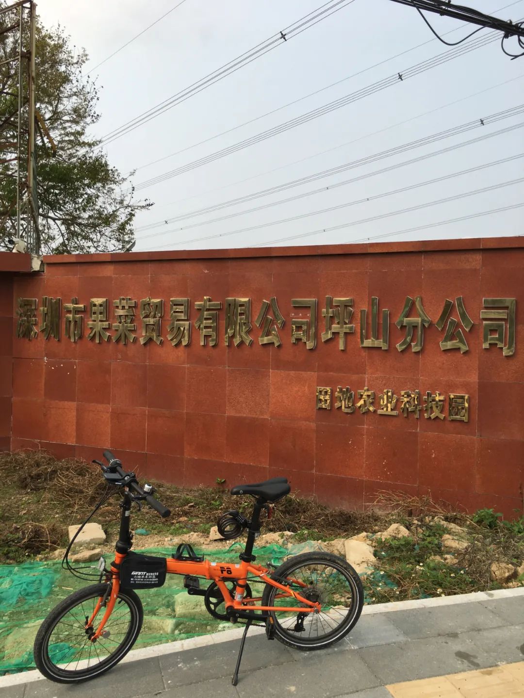 旭光车行雅迪电动车,旭光单车