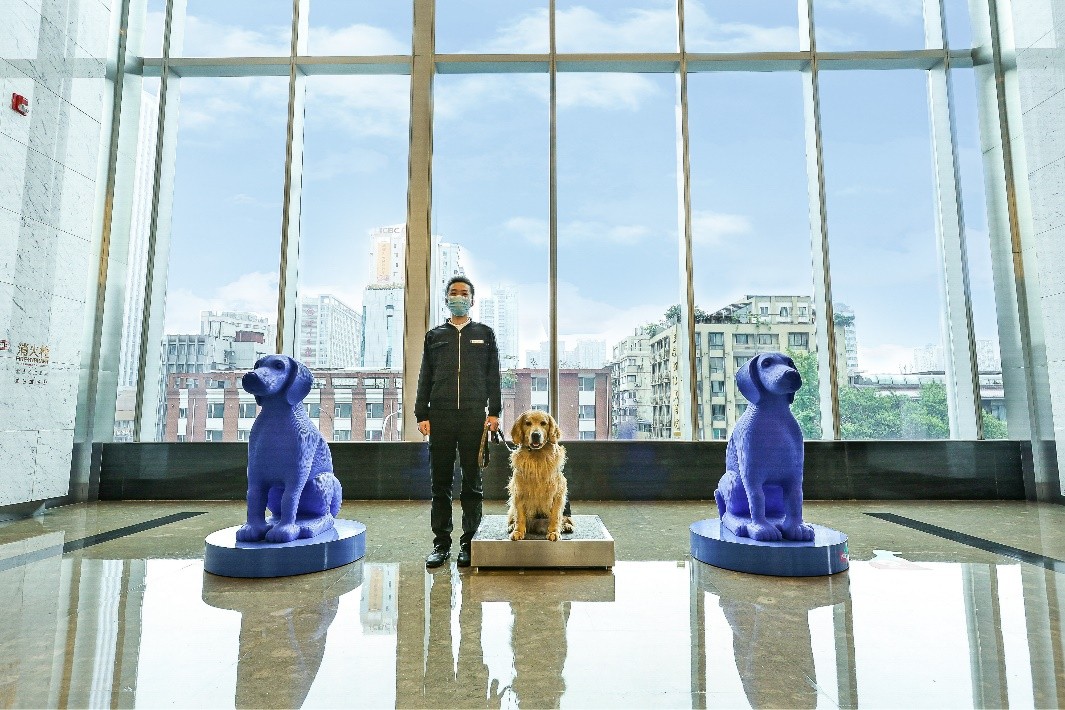 成都IFS“TheMigration动物来徙”公共艺术展盛大开启