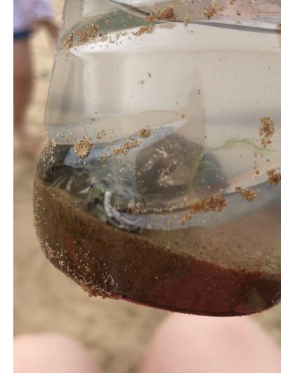 青岛黄岛沙滩,青岛黄岛海边旅游景点大全