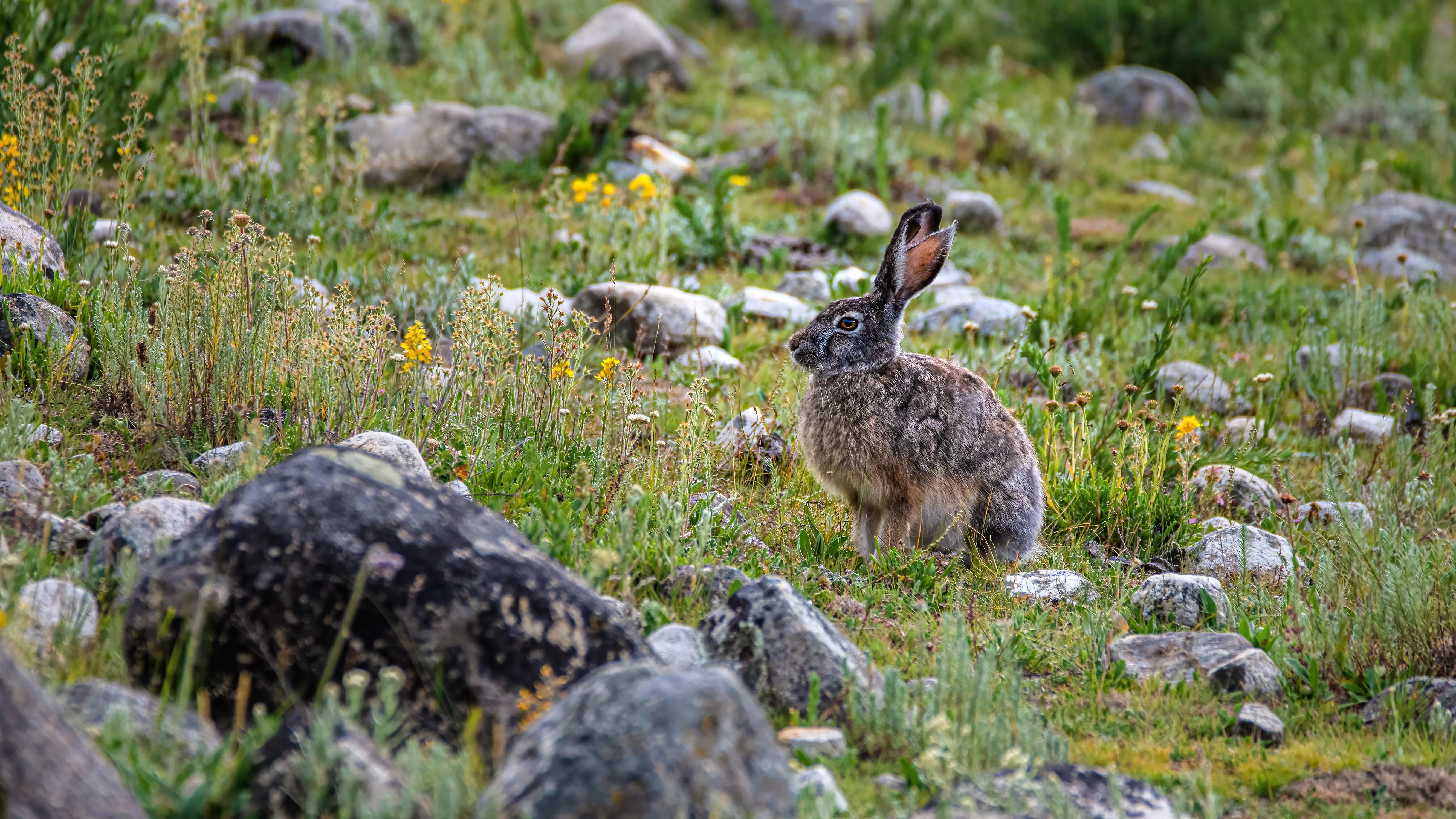 甘孜州最美风景在路上,金秋的甘孜州