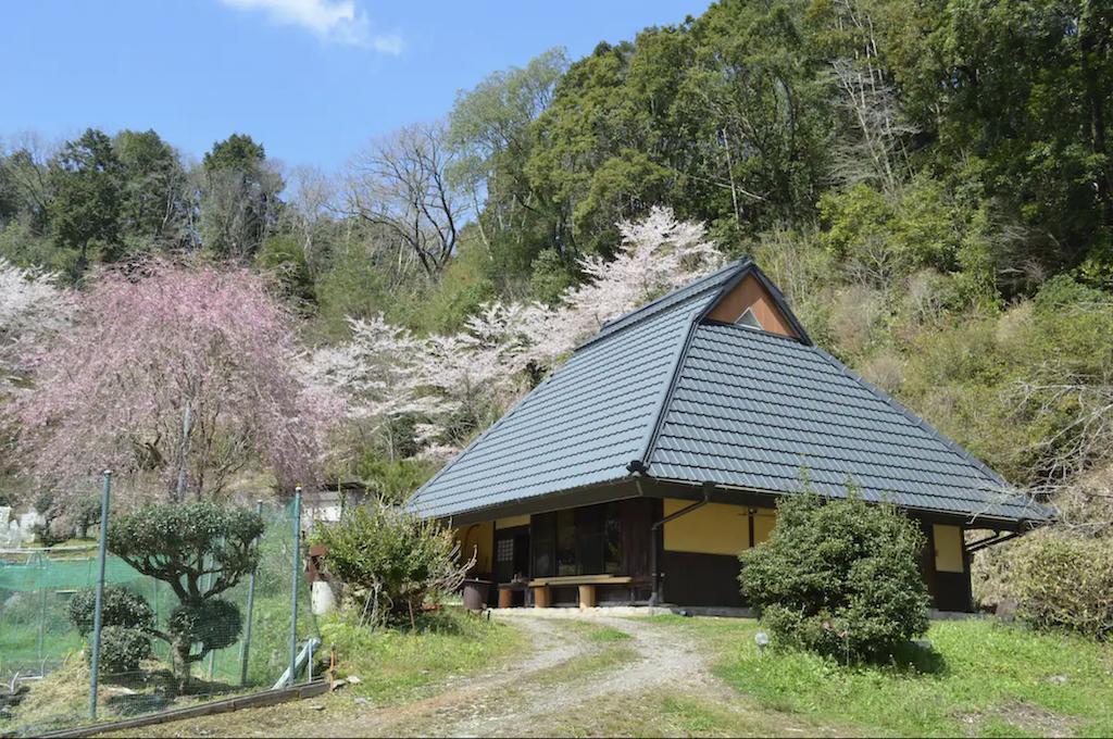 旅游媒体|爱彼迎带您邂逅日本春天的樱花盛宴|广州旅游媒体