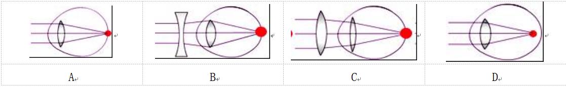 2024山东泰安物理一模考试卷,安徽中考2023物理一模试卷