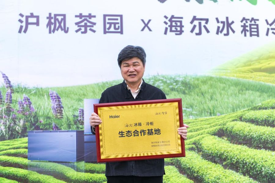 探索东方头茶的密码，沪枫茶园海尔冰箱冷柜开采节正式启动