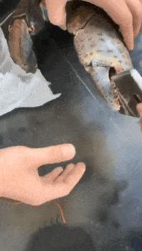 在老公车里发现东西,老公车里发现口红印怎么办