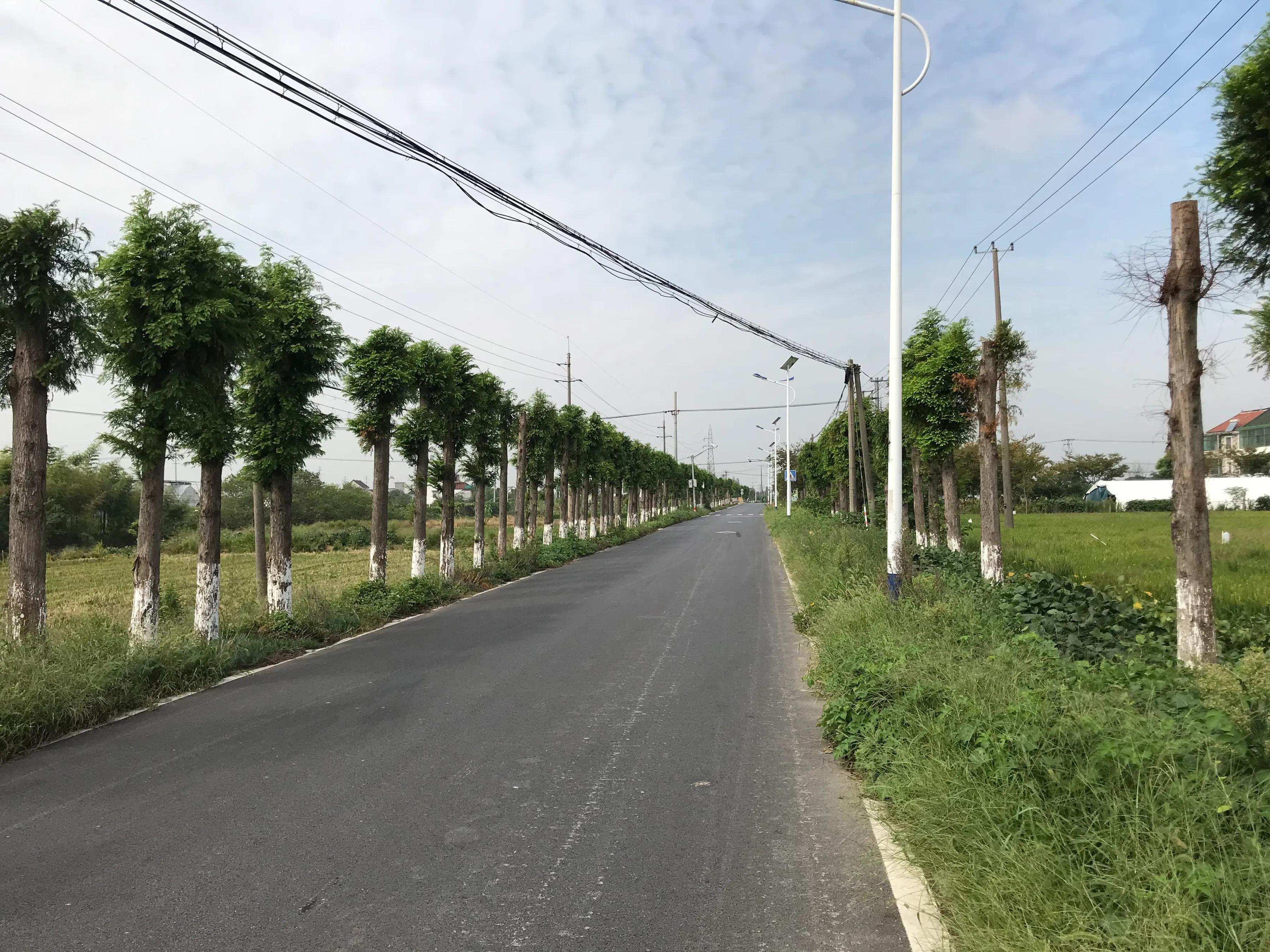 骑行318值得游玩的景点,古镇骑行一日游攻略