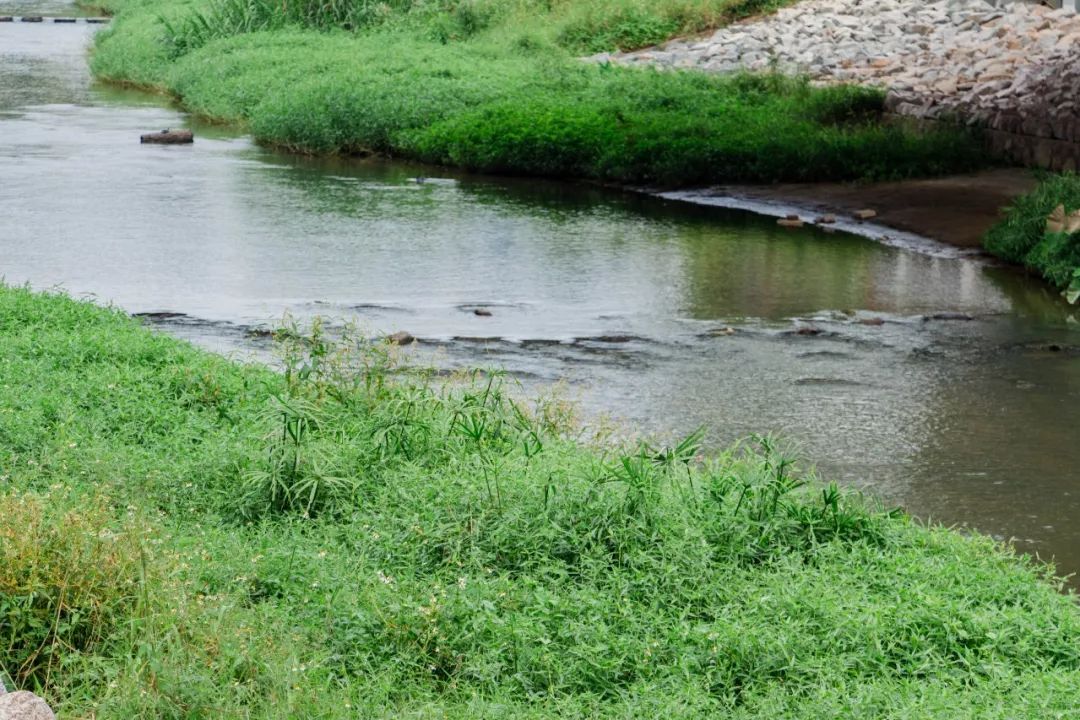 深圳1号线有什么好玩的景点,深圳1号线好玩的地方室内