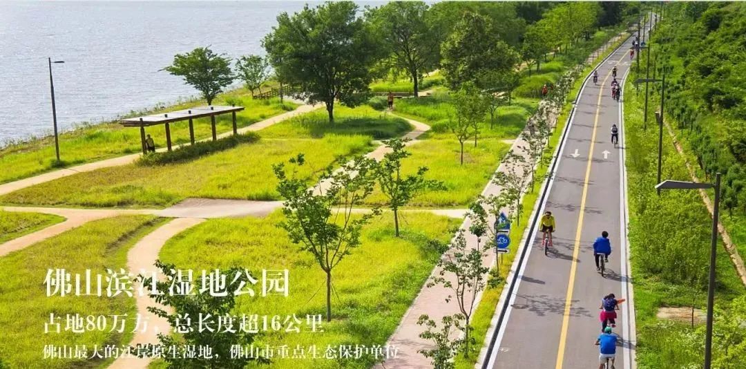 顺德三龙湾保利江景大盘有内部特价97~131㎡三四房一线东平河景