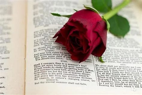 2022年，绿汀文学社《天天诗刊》第24期