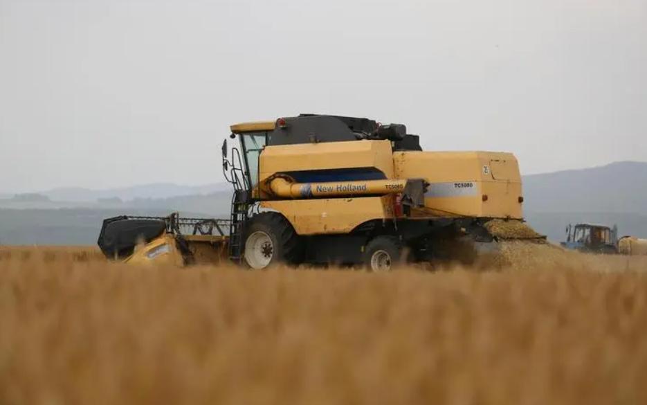 格拉斯大型联合收割机收割视频,大型克拉斯收割机工作视频