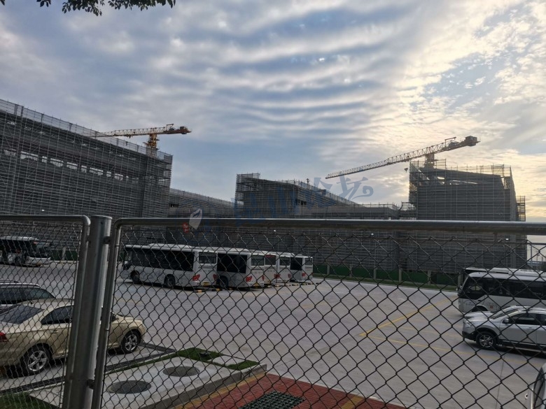 春风又绿江南岸原片,春风又绿江南岸张蓓蓓