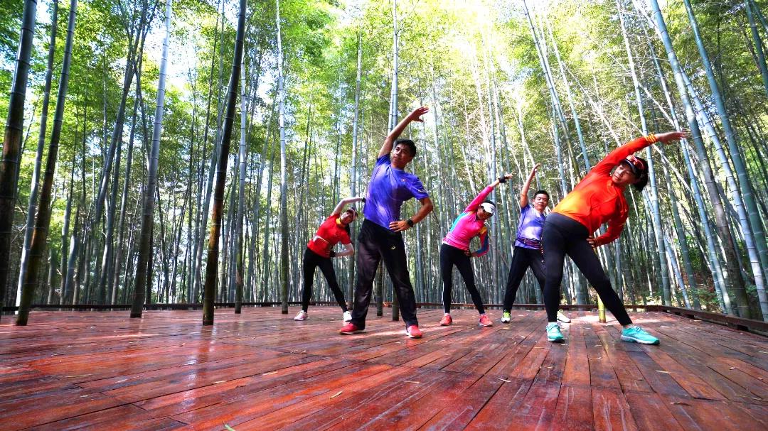 十大健身林荫步道,南京极美长江