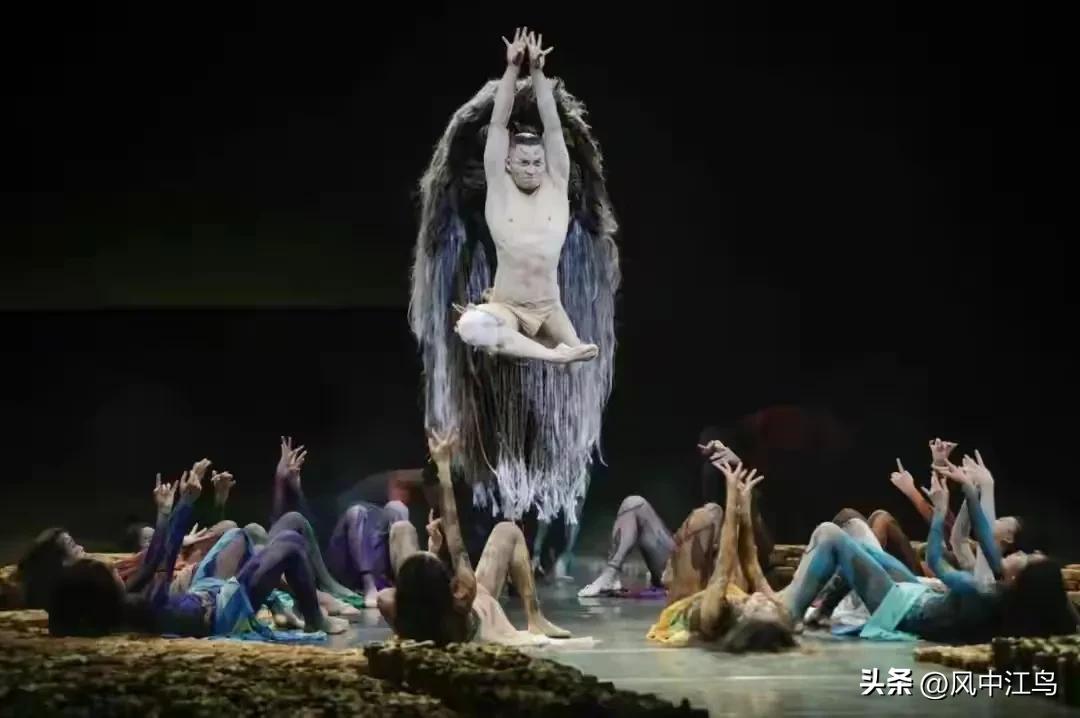 杨丽萍表演再度引争议男舞者,杨丽萍广场舞罗刹国